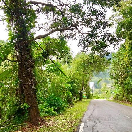 Selesa Resort Homestay Janda Baik Экстерьер фото